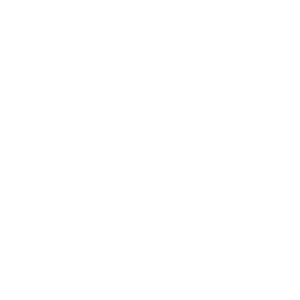 icon 100 orignal