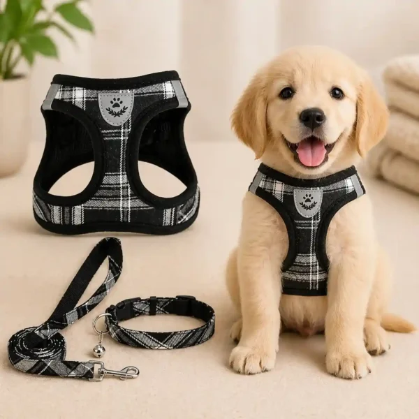 Dog wearing a lightweight breathable mesh harness with reflective stitching on a sunny walk.