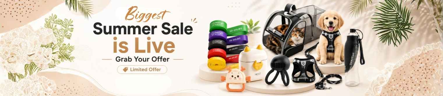 Dealzcart banner